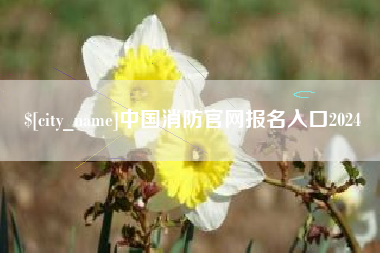 郓城中国消防官网报名入口2024