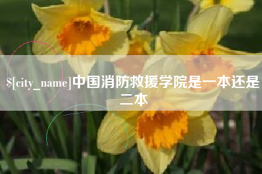郓城中国消防救援学院是一本还是二本