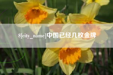 郓城中国已经几枚金牌