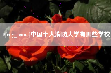 郓城中国十大消防大学有哪些学校