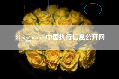 郓城中国执行信息公开网