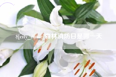 郓城森林消防日是哪一天