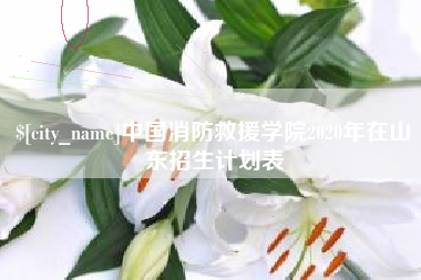郓城中国消防救援学院2020年在山东招生计划表
