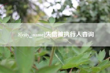 郓城失信被执行人杳询