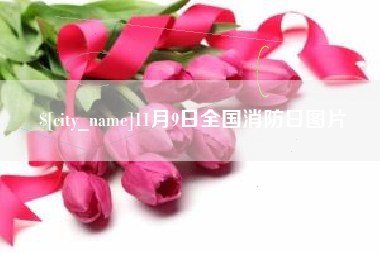 郓城11月9日全国消防日图片