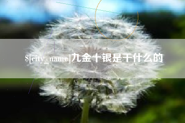 郓城九金十银是干什么的