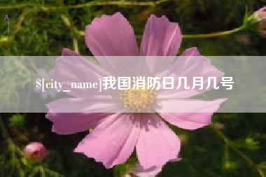 郓城我国消防日几月几号