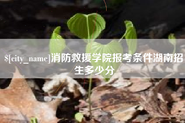 郓城消防救援学院报考条件湖南招生多少分