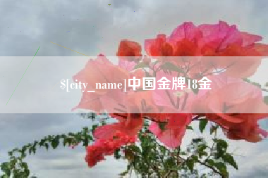 郓城中国金牌18金