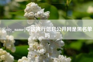 郓城中国执行信息公开网是黑名单吗