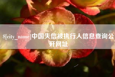 郓城中国失信被执行人信息查询公开网址