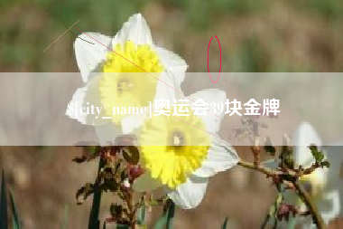 郓城奥运会39块金牌