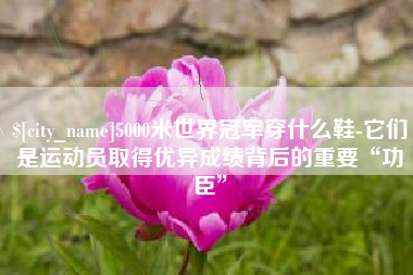 郓城5000米世界冠军穿什么鞋-它们是运动员取得优异成绩背后的重要“功臣”