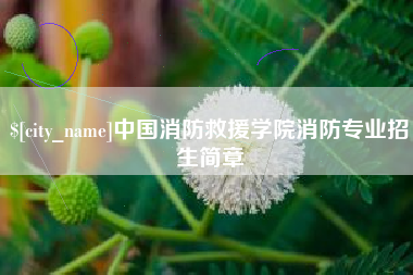 郓城中国消防救援学院消防专业招生简章