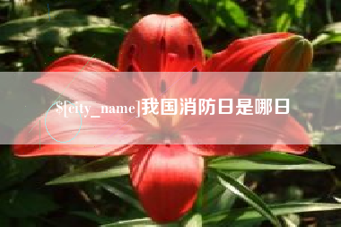 郓城我国消防日是哪日