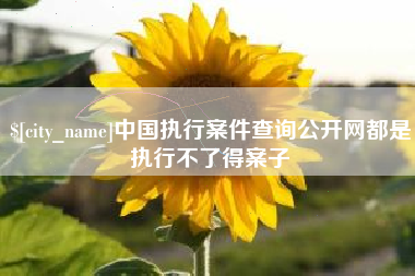 郓城中国执行案件查询公开网都是执行不了得案子