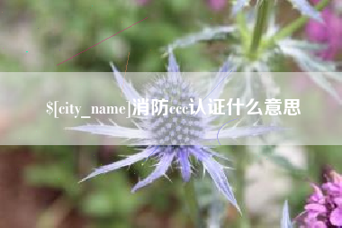 郓城消防ccc认证什么意思