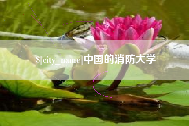 郓城中国的消防大学