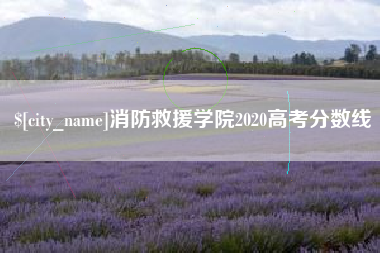 郓城消防救援学院2020高考分数线