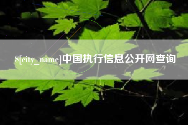 郓城中国执行信息公开网查询