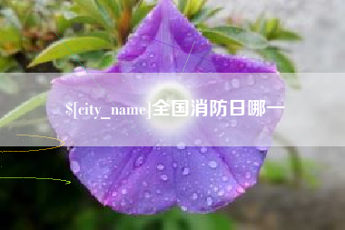 郓城全国消防日哪一