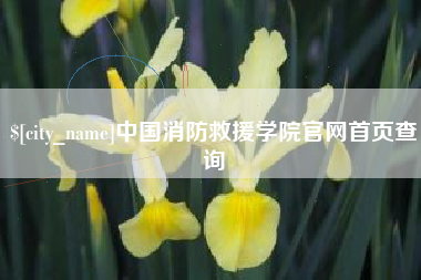 郓城中国消防救援学院官网首页查询
