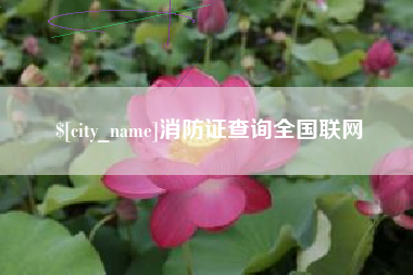郓城消防证查询全国联网