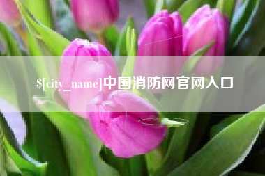 郓城中国消防网官网入口