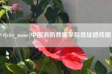 郓城中国消防救援学院地址路线图