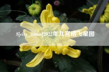 郓城2022年九宫格飞星图