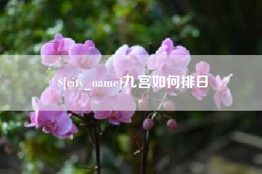 郓城九宫如何排日