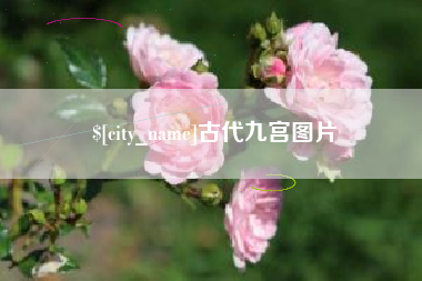 郓城古代九宫图片