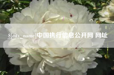 郓城中国执行信息公开网 网址