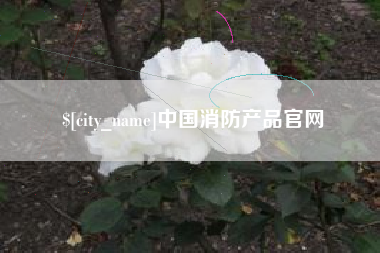 郓城中国消防产品官网