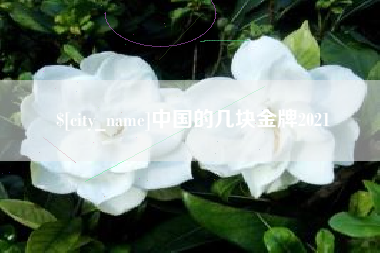 郓城中国的几块金牌2021