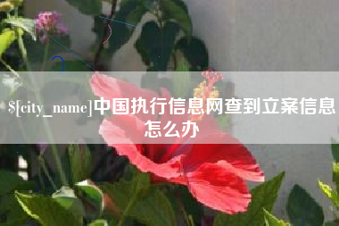 郓城中国执行信息网查到立案信息怎么办