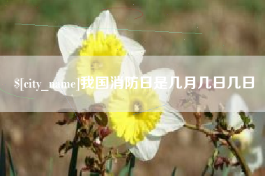郓城我国消防日是几月几日几日