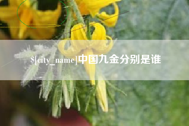 郓城中国九金分别是谁