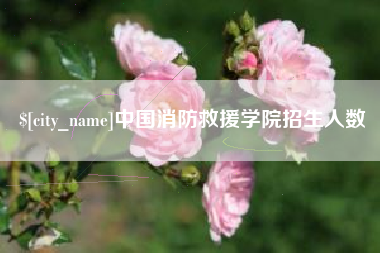 郓城中国消防救援学院招生人数