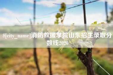 郓城消防救援学院山东招生录取分数线2020