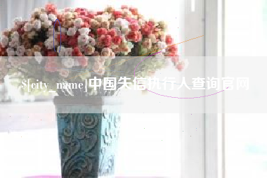 郓城中国失信执行人查询官网