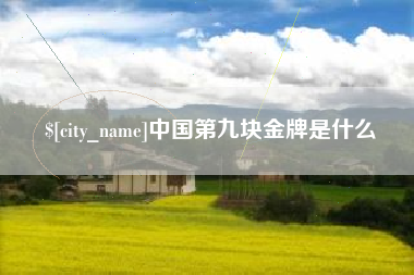 郓城中国第九块金牌是什么