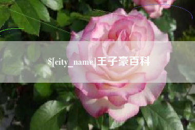 郓城王子豪百科