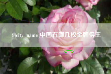 郓城中国有哪几枚金牌得主