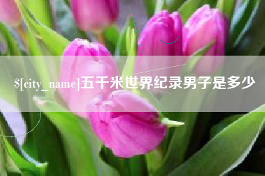 郓城五千米世界纪录男子是多少