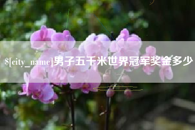 郓城男子五千米世界冠军奖金多少