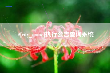 郓城执行公告查询系统