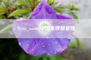 郓城中国金牌都是啥