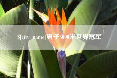 郓城男子5000米世界冠军