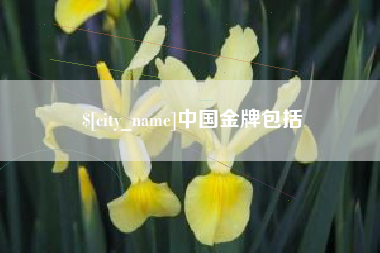 郓城中国金牌包括